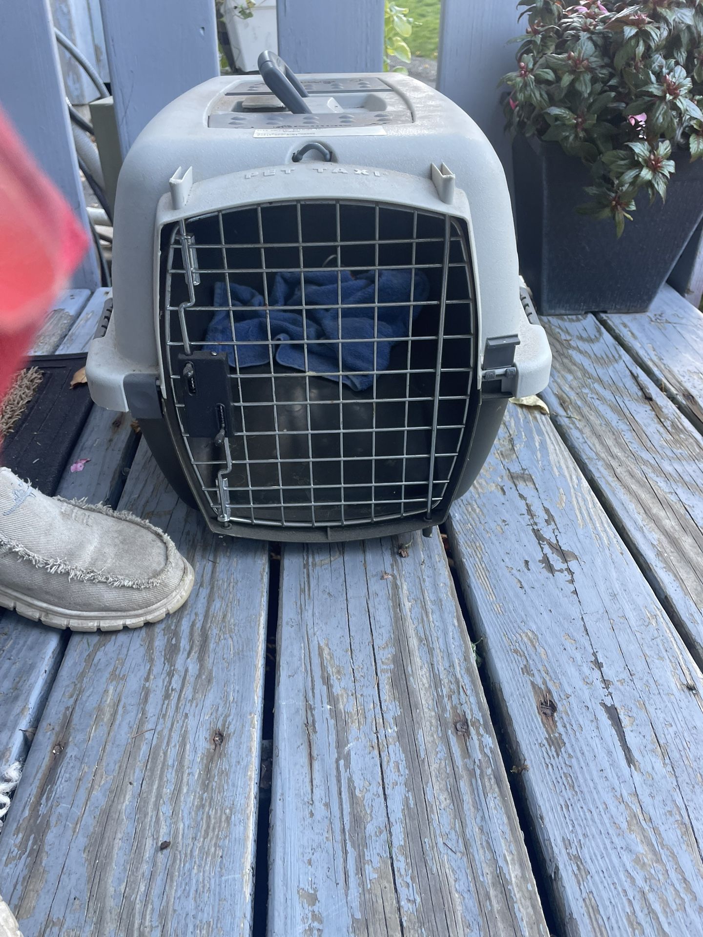 Pet Carrier For Small Dog Or Cat.east Haven