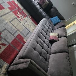 Sectional And Area Rug