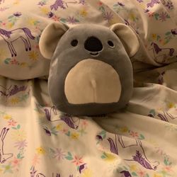 Koala Squishmillow