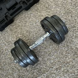 Cast Iron Adjustable Dumbbell Weight Set with Case