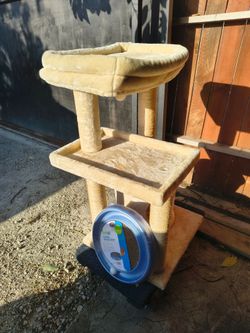 Juguete para el gato  y turbo scratcher