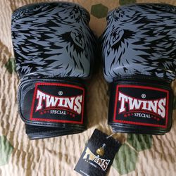 Twins Special 14oz Boxing Gloves