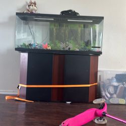 Large Fish Tank