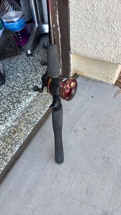 1 fishing rod and real abu garcia