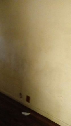 I need help! Kids on vacation n i need to clean. My house.