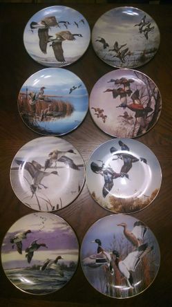 Plate collection