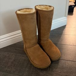 Brand New Uggs without Box