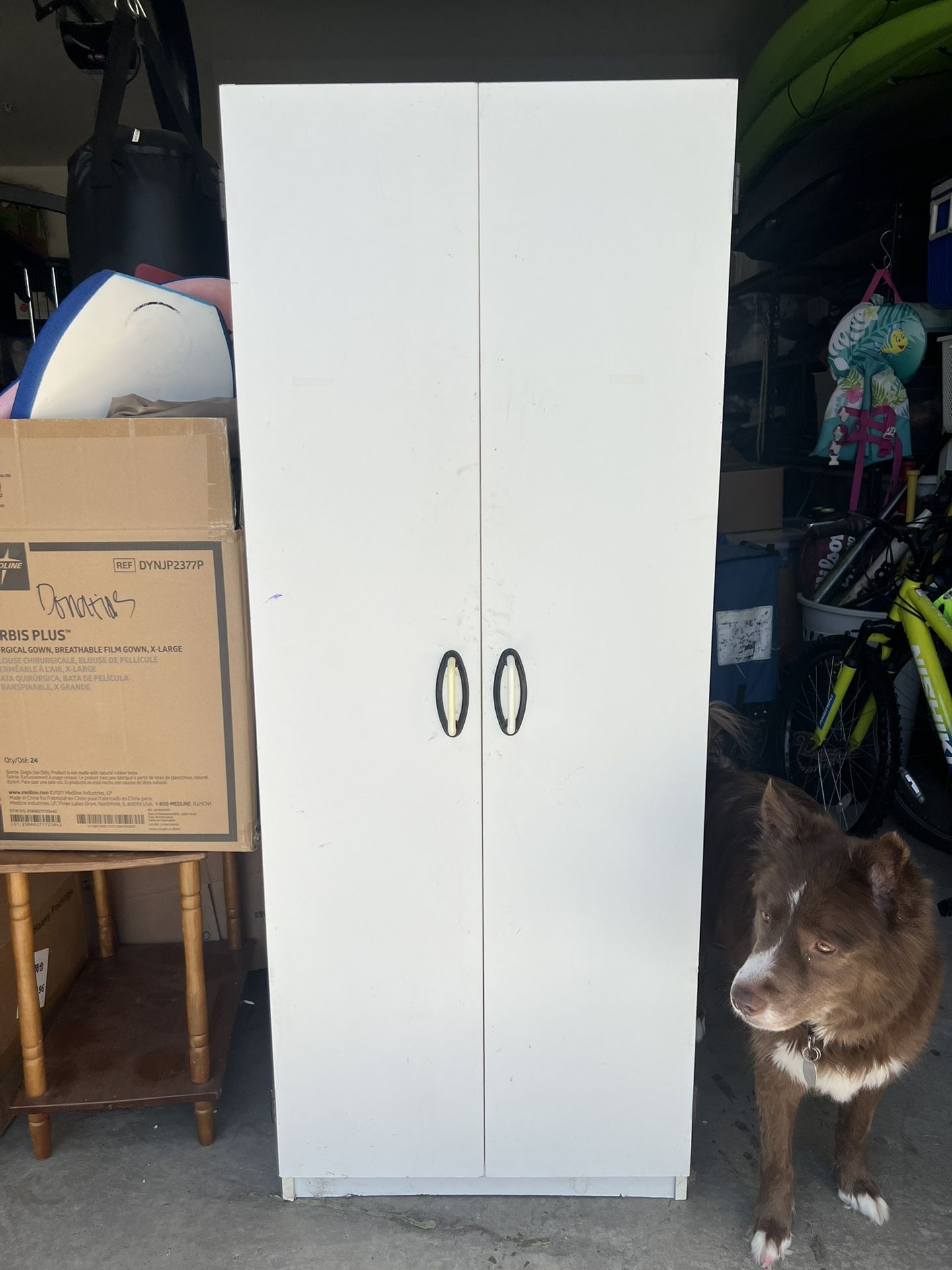 FREE Storage Cabinet
