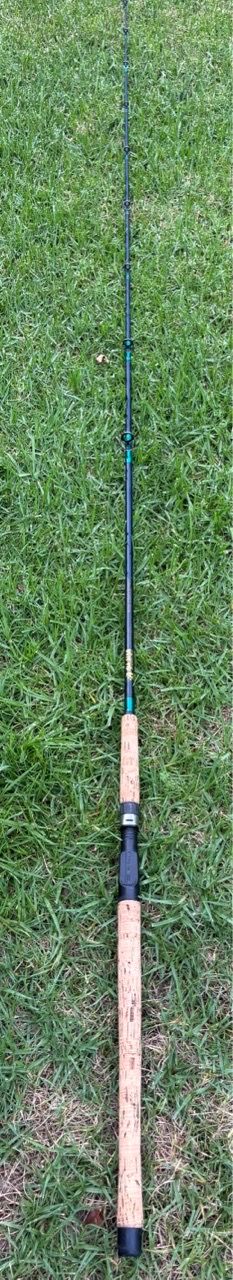 All Star Graphite Inshore Fishing Rod
