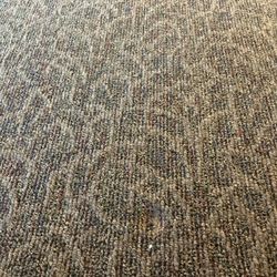 Carpet 16 X 24 like new
