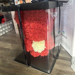 Valentines Day Dia D San Valentin Osos D Rosas Eternal Bears 