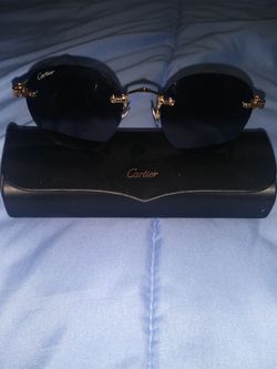 Authentic  Cartier Sunglasses - Beautiful - Excellent Condition