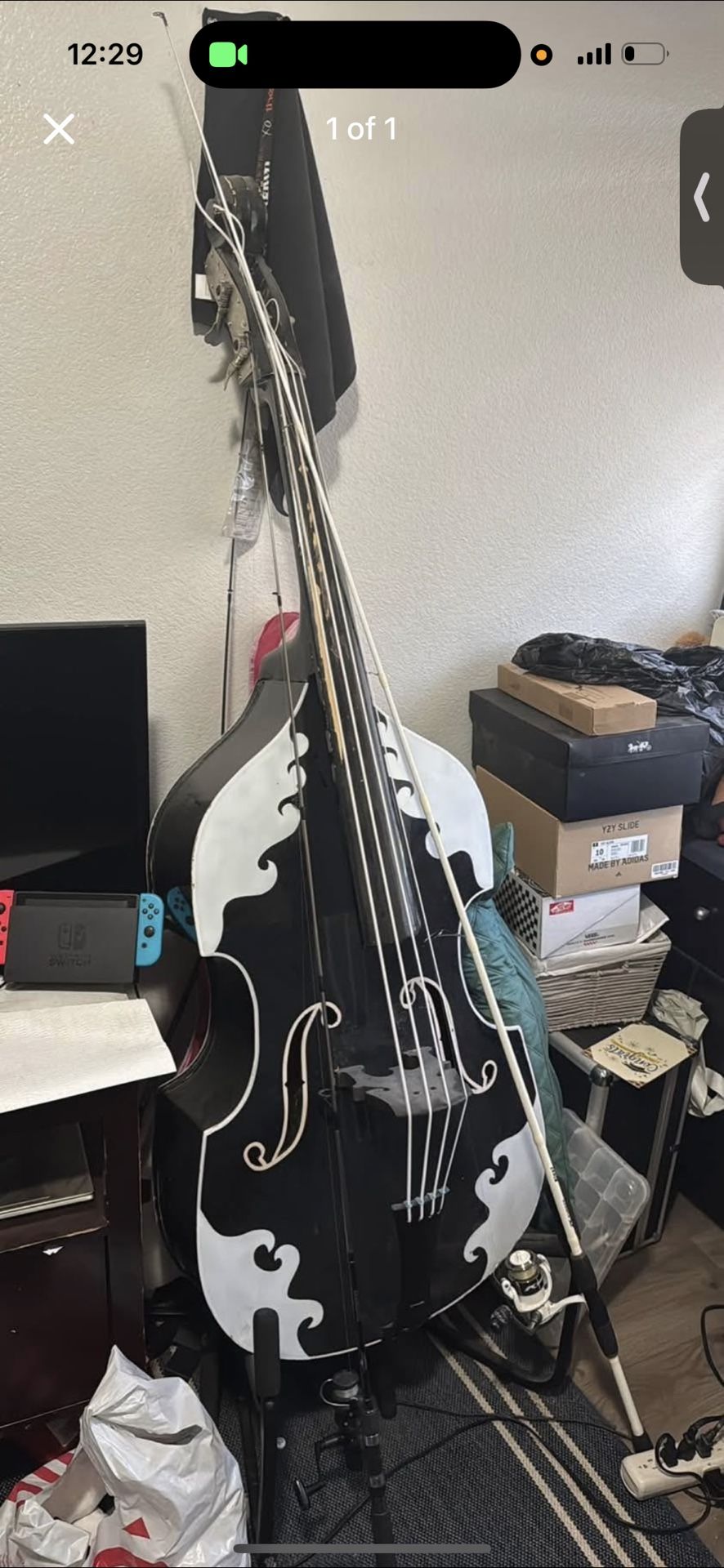 Tololoche bass