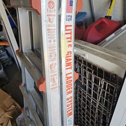Little Giant Ladder