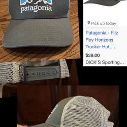 Patagonia Trucker hat