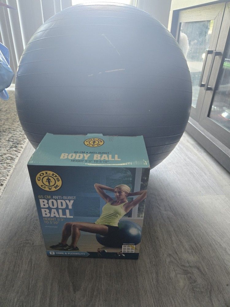 Exercise Ball, Laptop, Microwave, Water Dispo Maching, Heels, Xl Dog Kennel