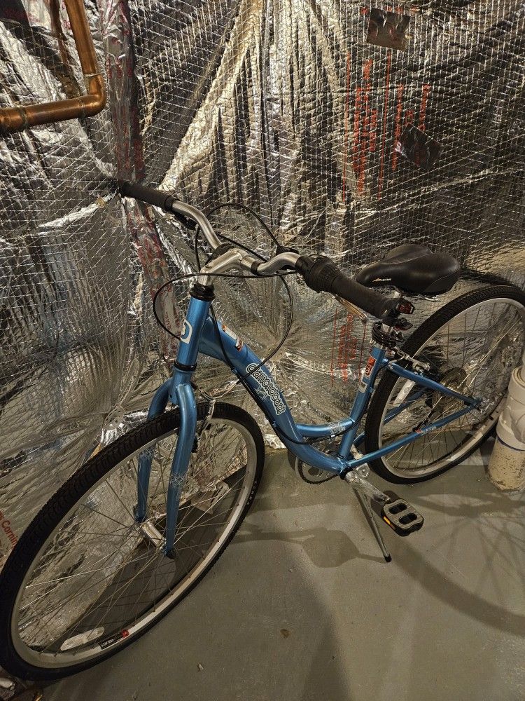 Carpets and Bikes