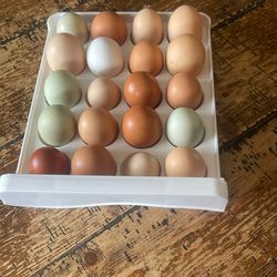 18 Count Organic Eggs All Different Color And Sizes