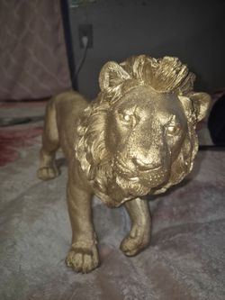 Lion status