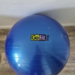 Yoga Balloon