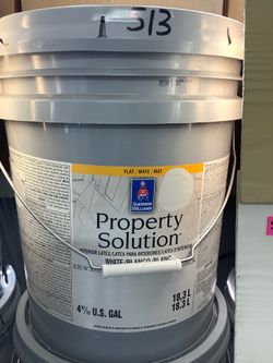 Interior Paint (Reflection)