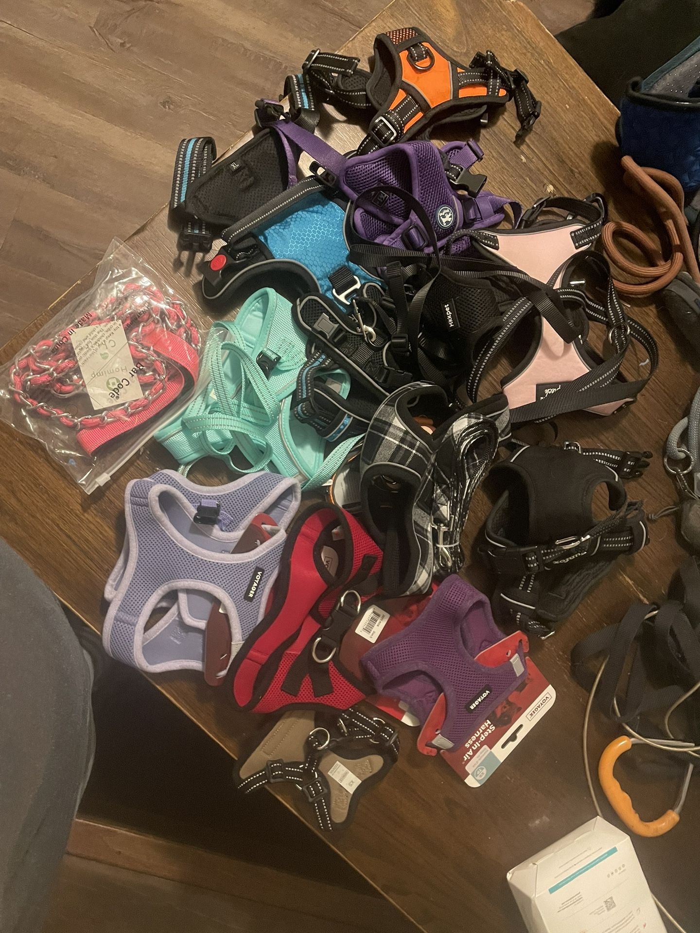 Harnesses And Leashes