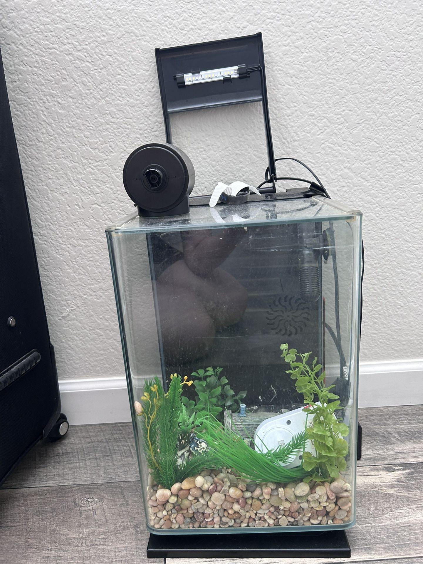 Fish Tank 