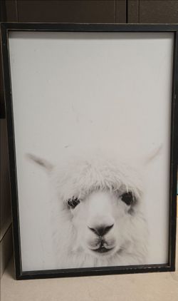 Lama Art Frame