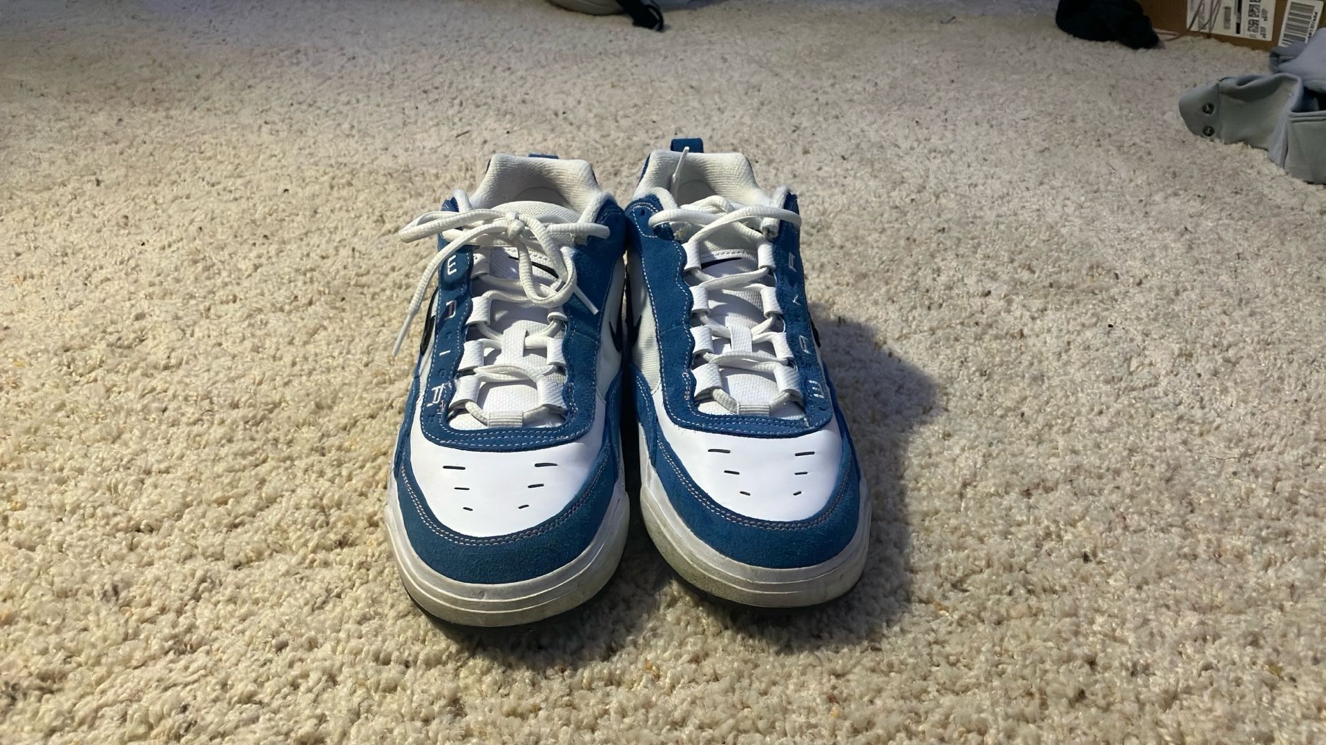 Nike Sb Size 10.5