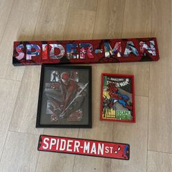 Spider Man Decor