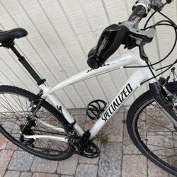 White Specialized Beauty For Sale 