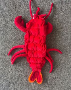 Puppy dog Halloween costume clothes XS lobster