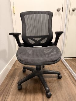 Ergonomic Office Chair