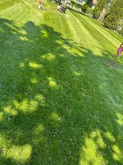 Weed control