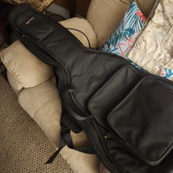 Pro Tec Guitar Case,bag. Heavy Duty.  $30