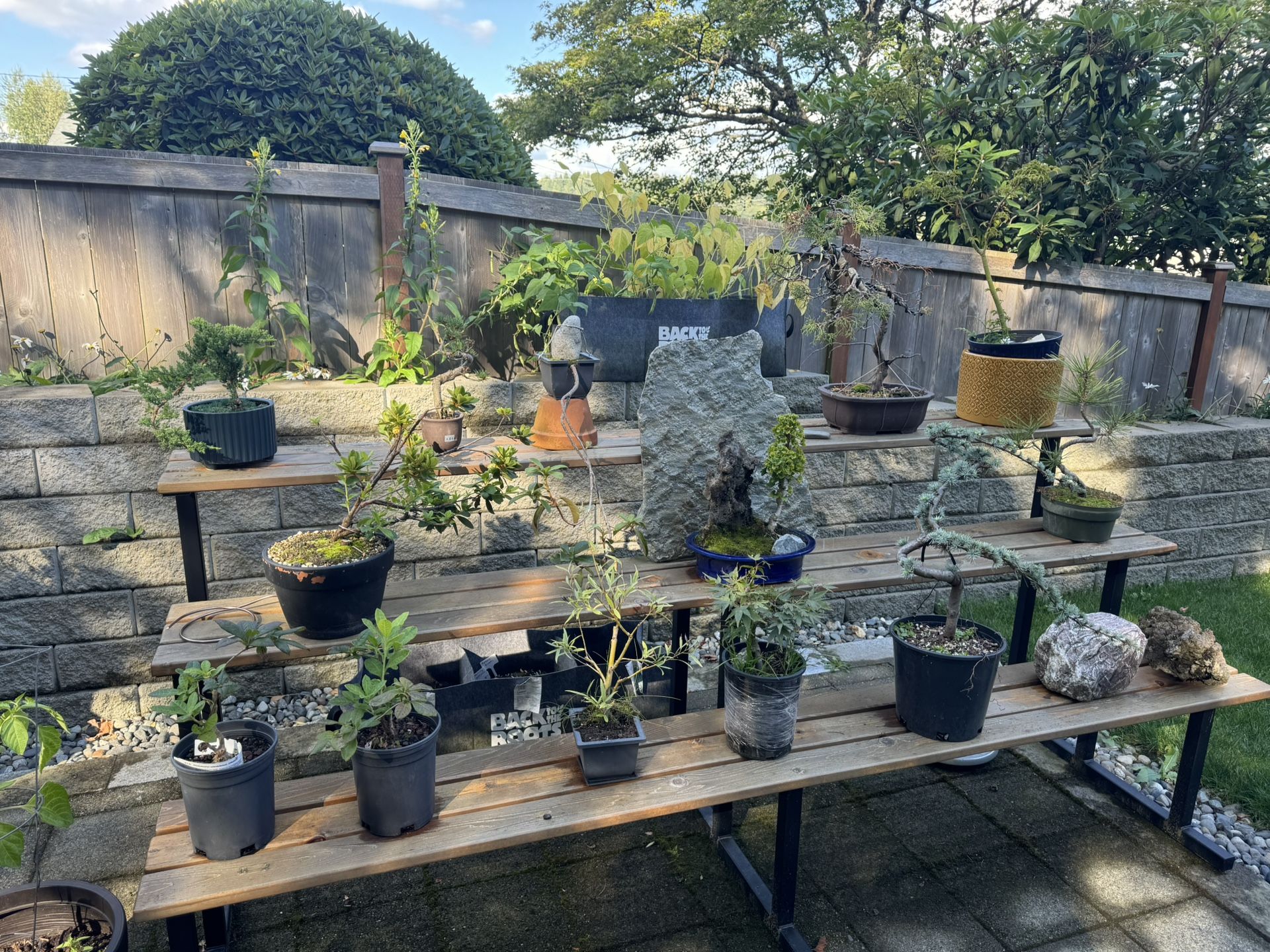 Bonsai Bench