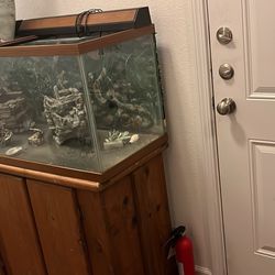 100 Gallon Fish Tank Stand Included