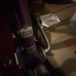 Schwin Girls 20 Inch Bike With Breaks 