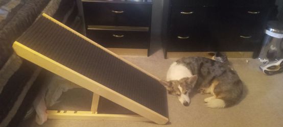 Dog ramp