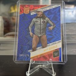 WWE Don Russ Elite Status Explosion Riddle And British Bulldog