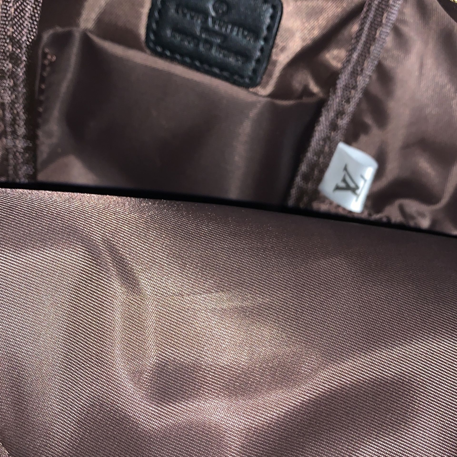 LV Palm Springs Mini Backpack Dupe 335$