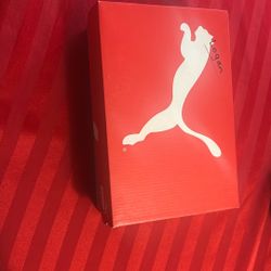 Pumas For Toddlers 