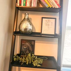 Bookshelf Ladder 