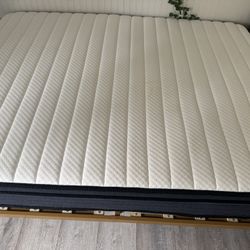 Queen Mattress 
