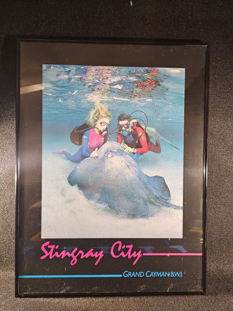 Stingray City Grand Cayman B.W.I. (British West Indies) 24.25"x18.25" Steel Framed Poster Print!