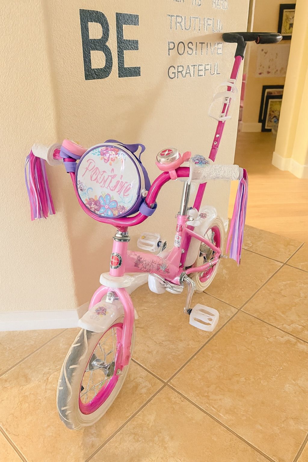 GIRLS BIKE