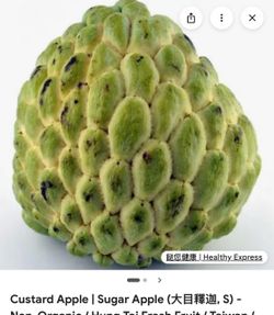 Custard apple , sugar apple, sugar-apple , sweetsop or Annona squamosa tree