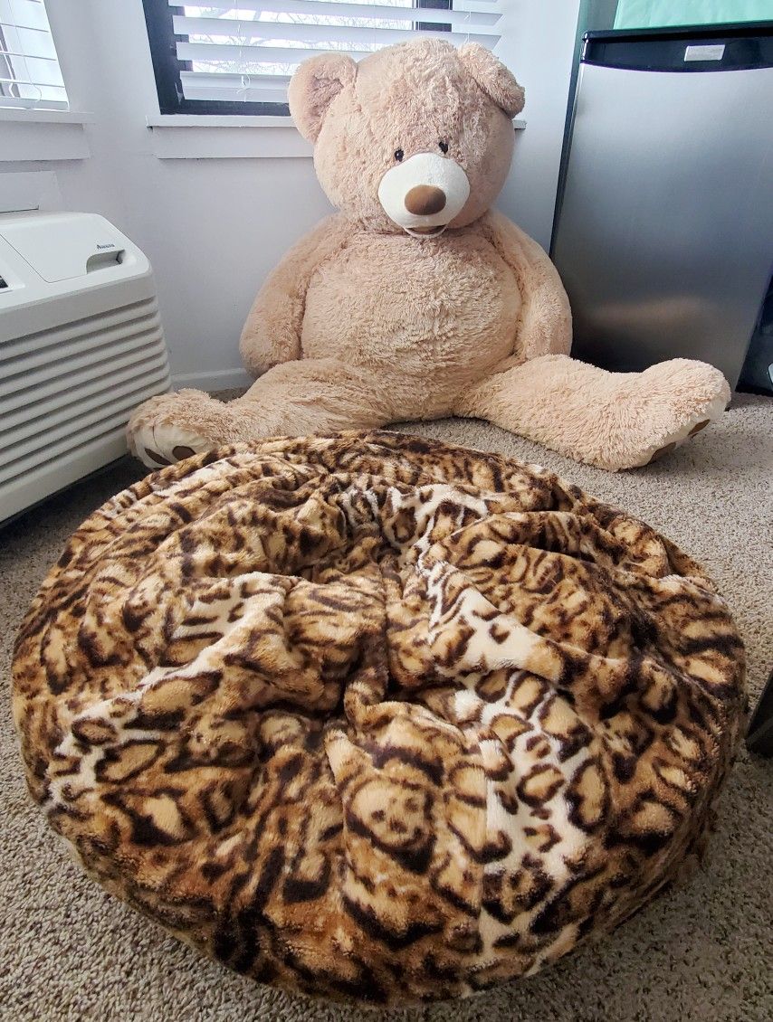 Big Teddy Bear & Bean Bag $10