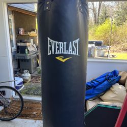 Everlast Punching Bag With Full Stand