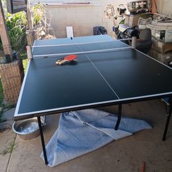 Table Tennis. Ping Pong